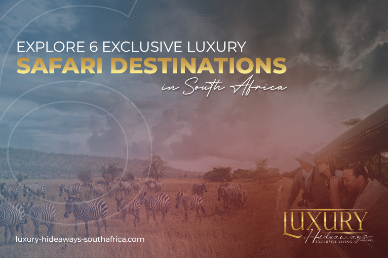 luxury south african safari tours | luxury Accommodation Plettenberg Bay | accommodation in plett